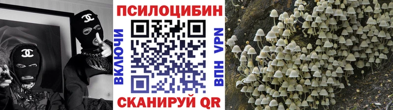 Галлюциногенные грибы мухоморы  где купить наркоту  Славск 